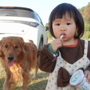 大招专业点小兵