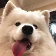 白给了