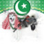 Sharif | The Pakistani-an DOG