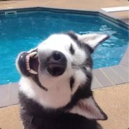 碎甲，打肉，大残，牛逼，大佬扶我！