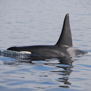 封禁之地第一高手