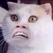 菲律宾性感蟑螂