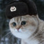 Communist Cat