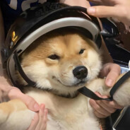 清风与你皆是客