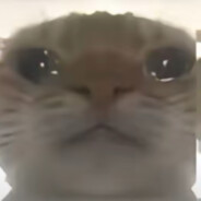 打我自动下载鸣潮