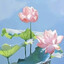 好运莲莲