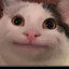 Dupus