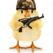 MrFlippin Steam avatar