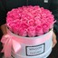 PinkRoses