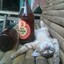 hubog ko ming!!!!
