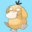 Psyduck