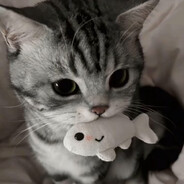 小牛