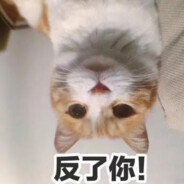 胖奶牛大脸猫