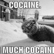 ShiraiwaRiku - steam id 76561197965772792