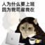 biubiucat