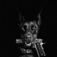 ALEXwowww's avatar
