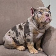 Metizi_ - steam id 76561199817156632