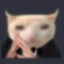 啊 哦 鹅 依 唔 鱼