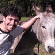 .Tche feeder