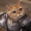 POK CAT
