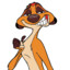 Timon