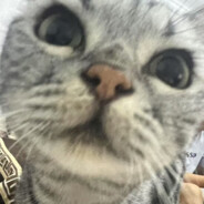 皮炎会下东北的雪