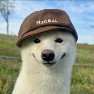 olro1337 avatar