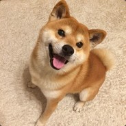 一萬場尋血犬十萬次掃描卻掃不到你的心