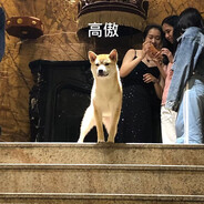 泪水打湿我的麦当劳