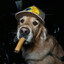 Бешеный пёс Avatar of player Бешеный пёс