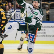 Sverigevän ツ