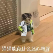 菜就多练 输不起就别玩