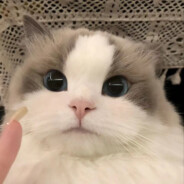 命中亦有一别陌路