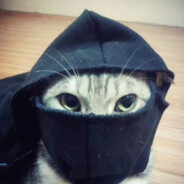 盖小被