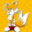FlyerFox