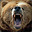 iLoveGrizzly