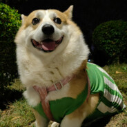 精通金融巨汇炒币