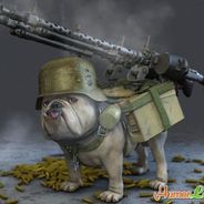 OldDog