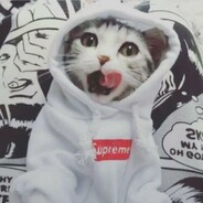 赛博钓鱼也是鱼