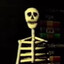 ti_ypal hopped//