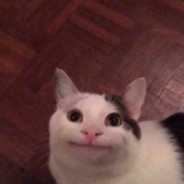 Domii49
