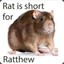 Ratthew