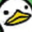 Ducks