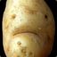 An Ugly Potato