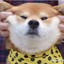 菠萝够不够大