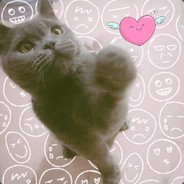 小徐同学萌萌哒