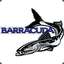 barracuda