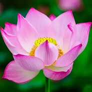 老年中学全科倒数第一