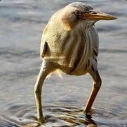 不要让我跳伞，会让大家变得不幸