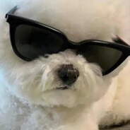 未知名的修狗战士